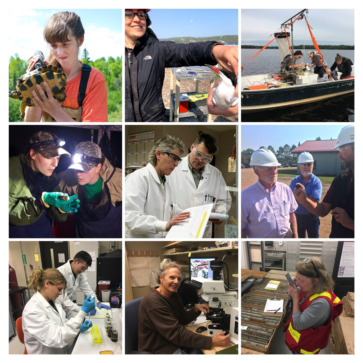 Collage of nine photos of scientists working in different indoor and outdoor settings