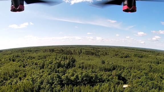 Thick forest with curved horizon and blue sky, with bottom of drone visible