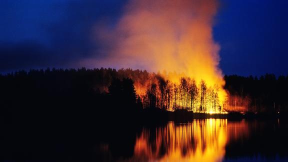 wildfire burning a forest next to a lake at night.