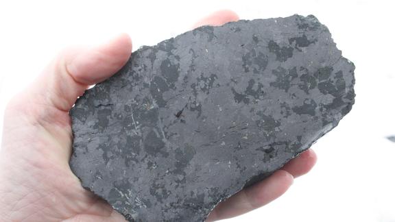 Hand holding black speckled rock