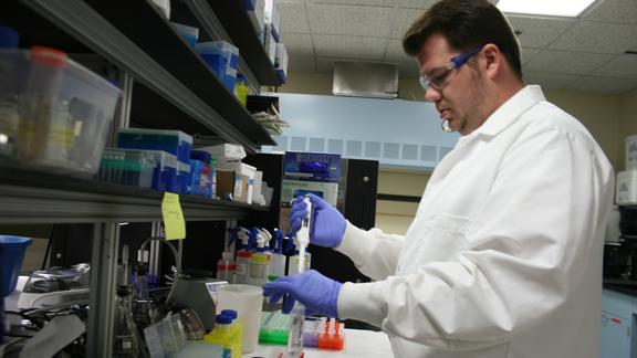 Man in white lab coat and blue gloves works at bench in laboratory