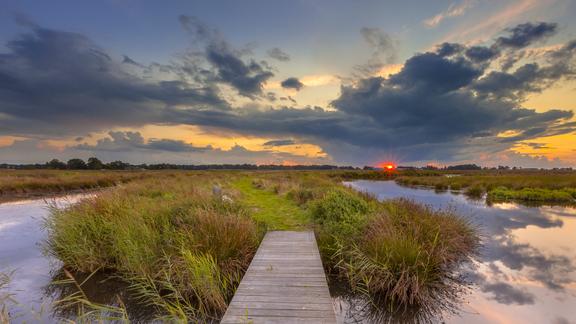 Outdoor scene of dock jutting into water with cattails and sun setting on horizon