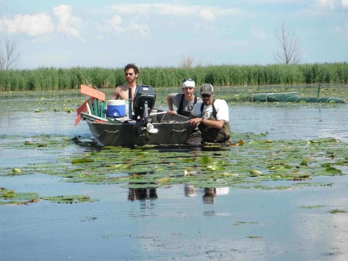 Three men in waders push a boat through a wetland waist-high in water.