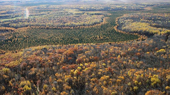 Minnesota autumn forestlands seen from an airplane. 