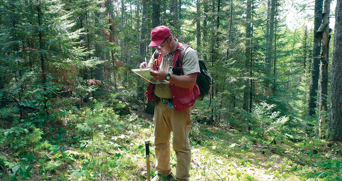 NRRI researcher performing geologic field survey in northern Minnesota forest. 