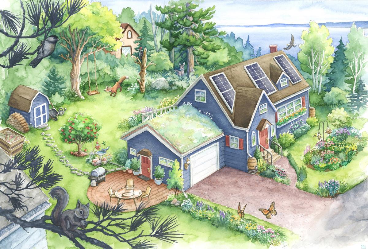 Watercolor painting of home with solar panels, a green roof, and lush gardens filled with wildlife
