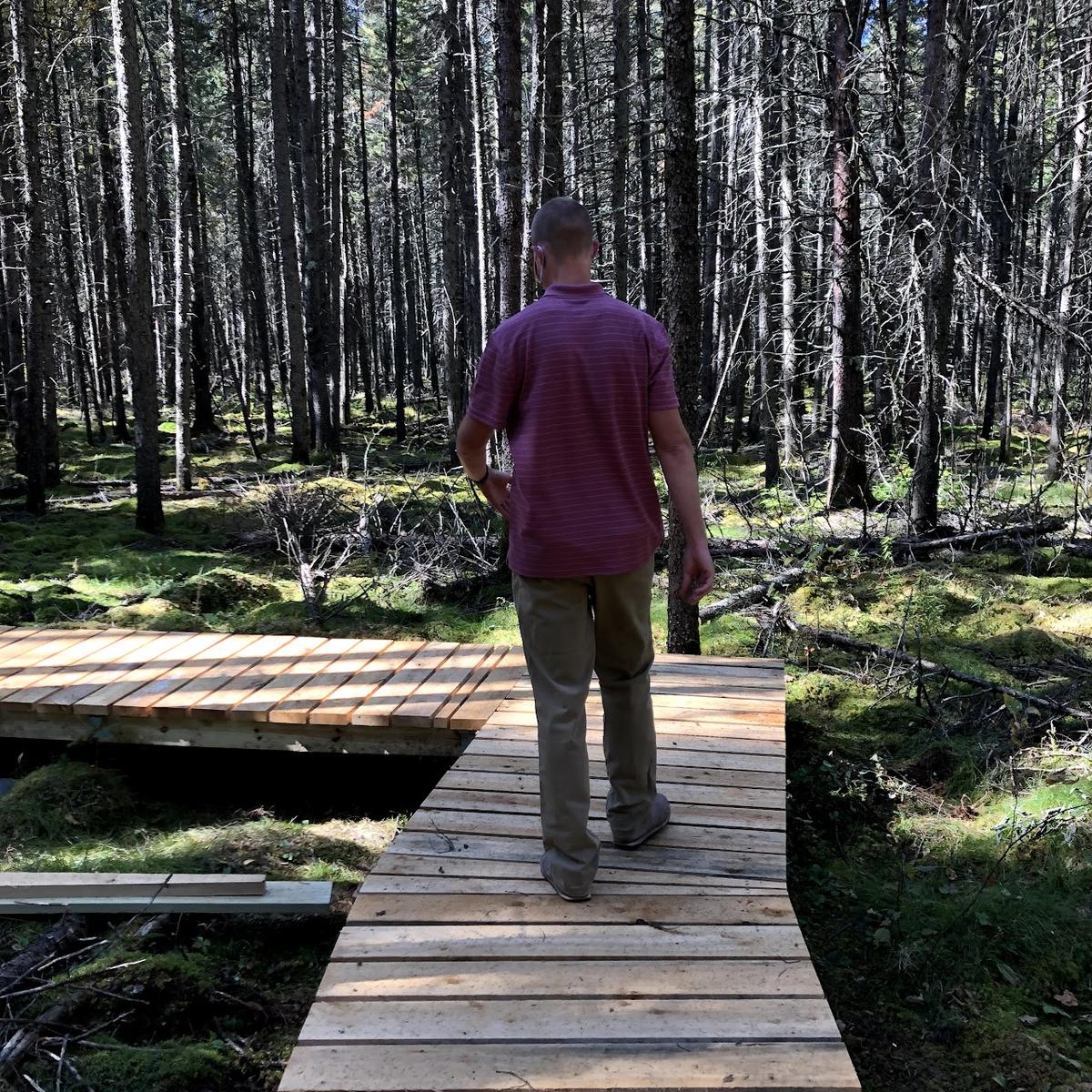 Man walking on boardwalk in forest