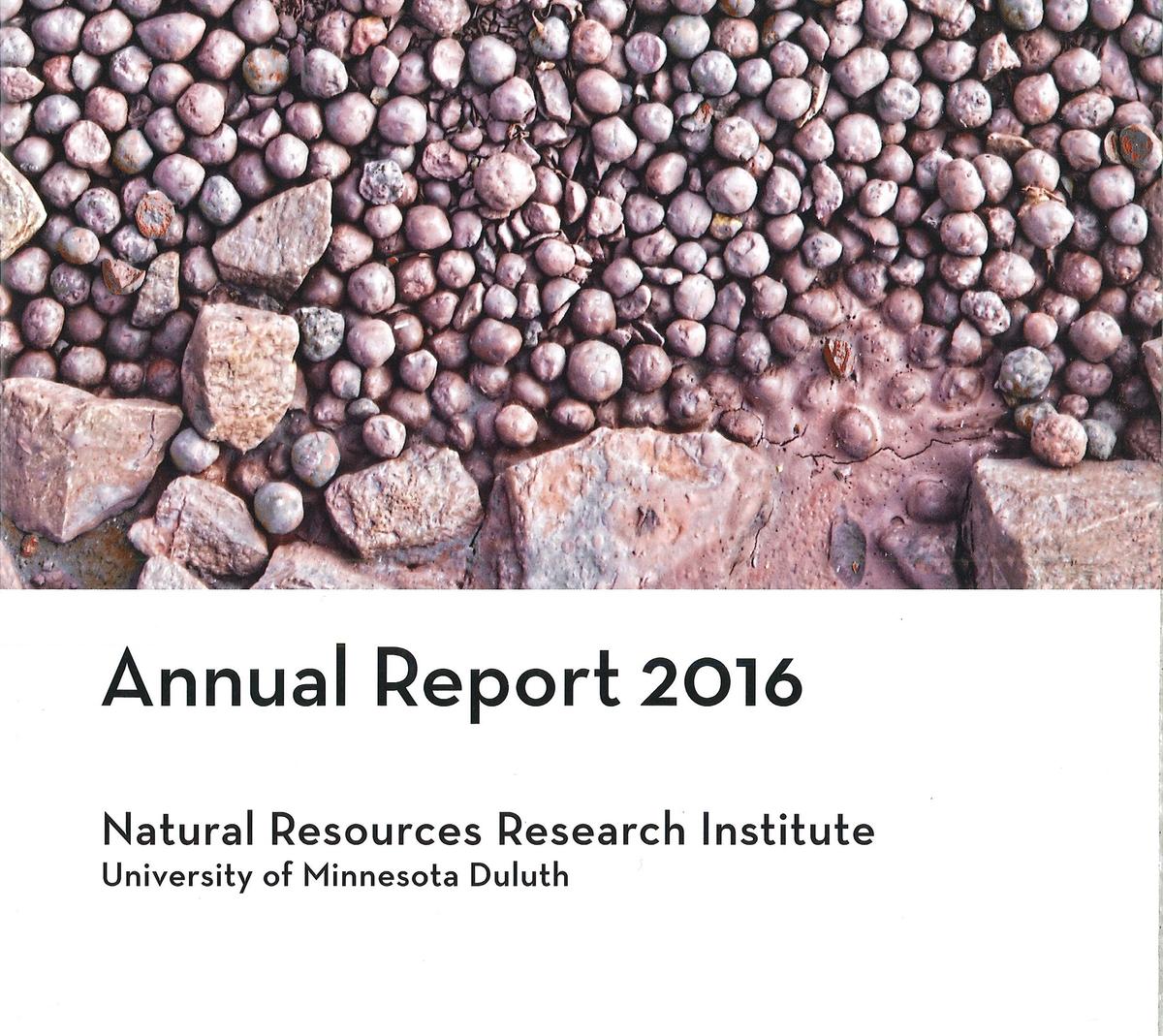 Image of annual report with taconite pellets on cover.