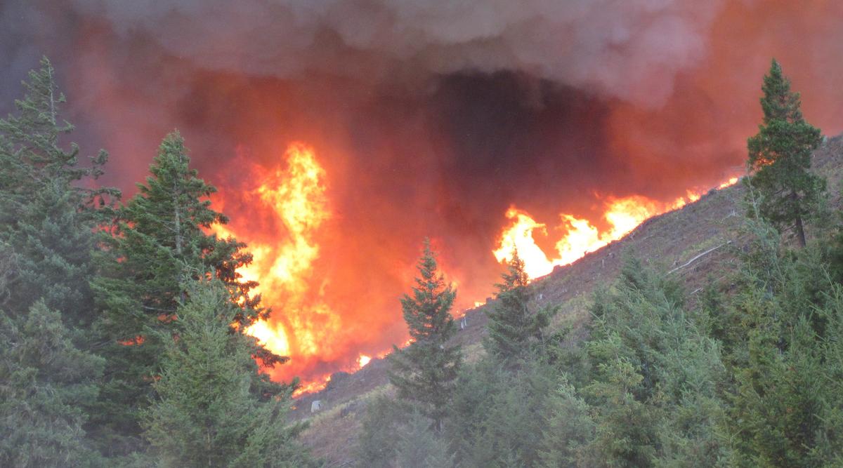 Flames burning a hillside forest
