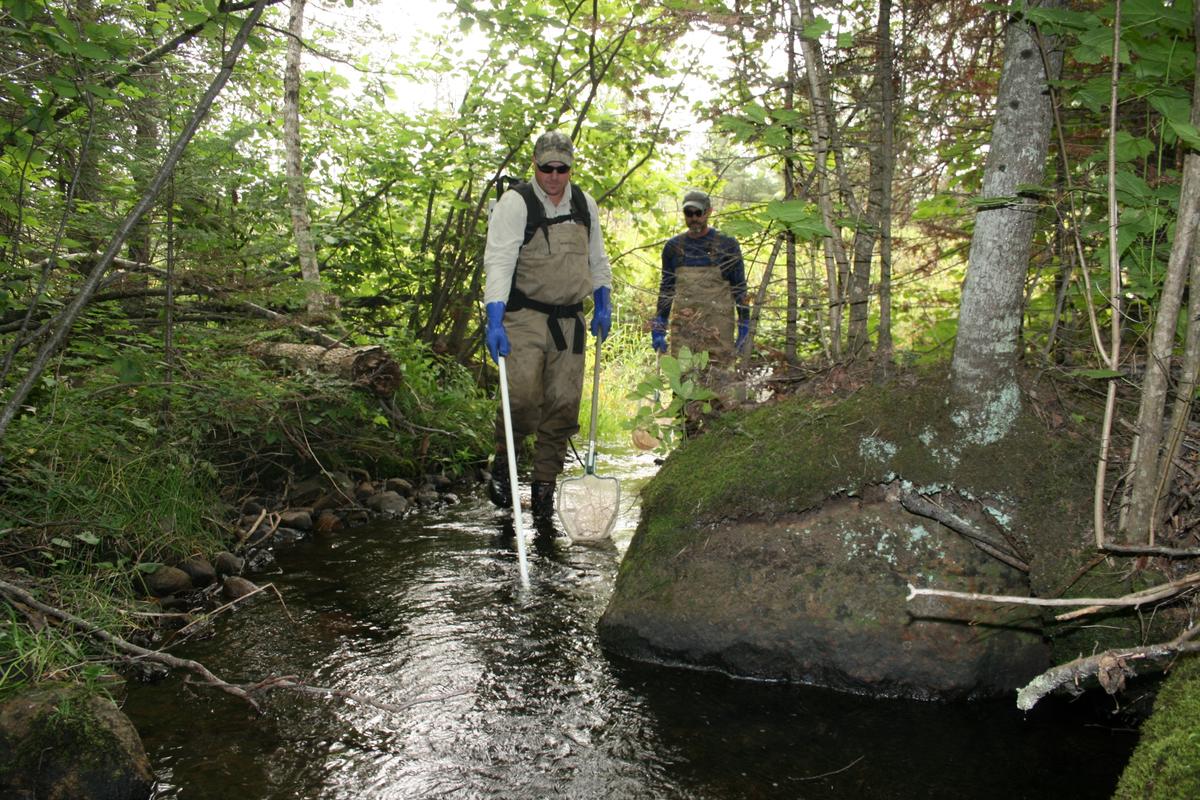 Two men in waders walk through a shallow, wooded stream with fish nets and a pole.