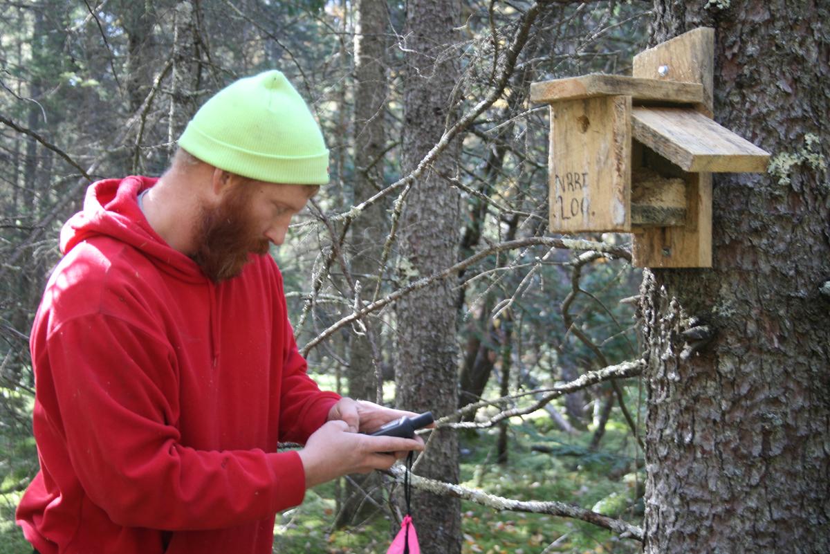 A man in red hoodie jacket and green cap works a handheld device by nest box hung on tree.