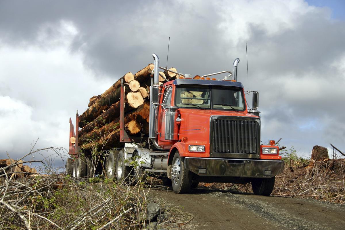 Red logging truck hauling logs drives on a dirt road.