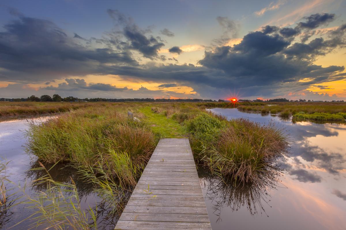 Outdoor scene of dock jutting into water with cattails and sun setting on horizon