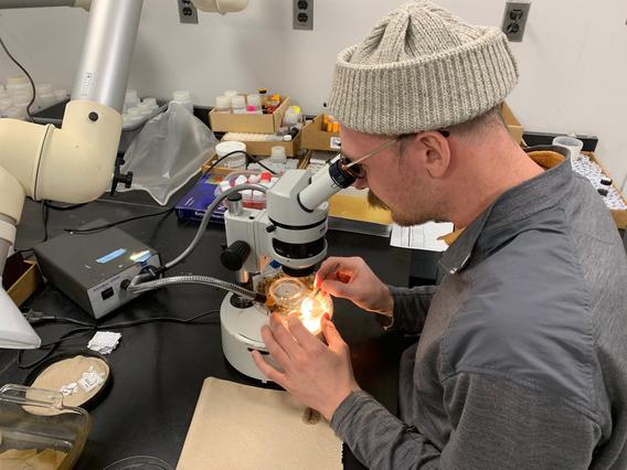 A man sits at a microscope.