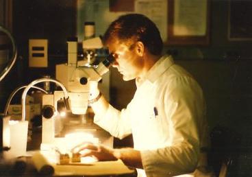 Man sits at microscope