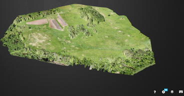 Screen grab of 3D image of woodland area